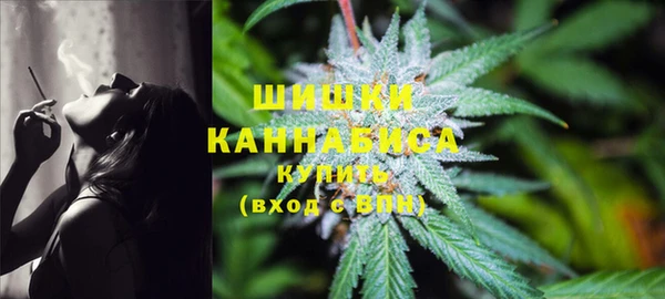 дживик Горнозаводск