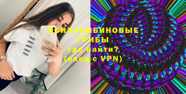 прущие грибы Хадыженск