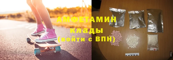 ПСИЛОЦИБИНОВЫЕ ГРИБЫ Горно-Алтайск