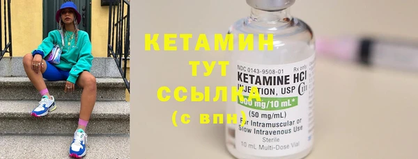 ПСИЛОЦИБИНОВЫЕ ГРИБЫ Горно-Алтайск