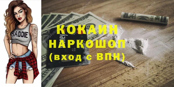 Альфа ПВП Горняк