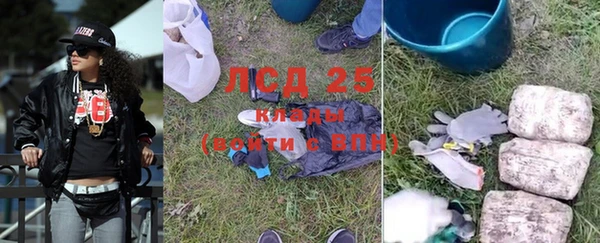 дживик Горнозаводск