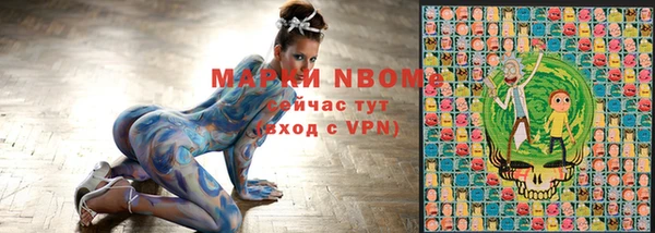 ПСИЛОЦИБИНОВЫЕ ГРИБЫ Горно-Алтайск