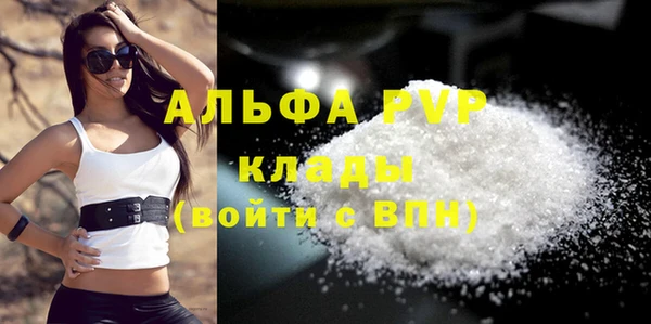 Альфа ПВП Горняк