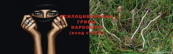дживик Горнозаводск